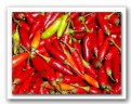 Picture Title - Red hot chilli peppers.