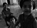 Picture Title - A Family Portrait