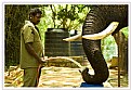 Picture Title - That's my work !