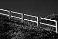 Picture Title - Fenced