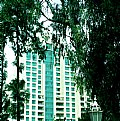 Picture Title - Trees & Hotel