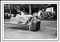 Picture Title - A prevident traveller