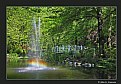 Picture Title - Rainbow at Sayen Gardens (2320)