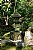 Japanese Garden Clingendael  7