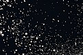 Picture Title - angels