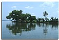 Picture Title - Backwaters