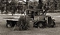Picture Title - old truck