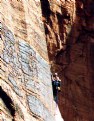 Picture Title - ROCK CLIMBERS @ ZION