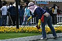 Picture Title - Tending the flowers