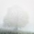 the maple tree and a mist