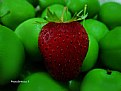 Picture Title - Strawberry  