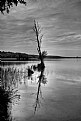 Picture Title - Mirror