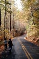 Picture Title - Autumn Road