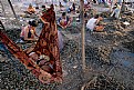 Picture Title - The Oyster Laborer