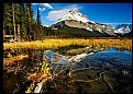 Picture Title - Tranquil Pond