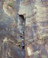 Picture Title - ROCK CLIMBERS @ ZION