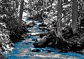 Picture Title - Blue Waterfall