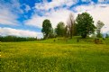 Picture Title - Spring Meadow 1