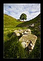Picture Title - Sycamore Gap