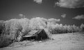 Picture Title - Homestead IR