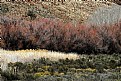 Picture Title - Karoo Impressions (9)