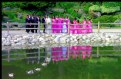 Picture Title - Wedding  Reflection