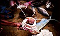 Picture Title - fish mouth
