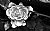 Rose (Black and White) 61908