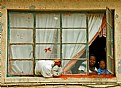 Picture Title - AT THE WINDOW