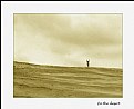 Picture Title - In the desert