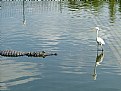 Picture Title - dinner  time