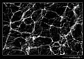 Picture Title - ..::Neurons code::..