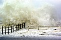 Picture Title - Crashing Wave