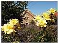 Picture Title - Cottage in Tihany