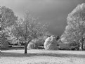 Picture Title - Grey Day IR 850nm