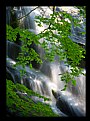 Picture Title - GreenFalls