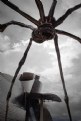 Picture Title - spider attack