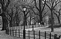 Picture Title - Walk in the (Center) Park
