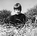 Picture Title - Girl in a Field (Vintage Scan)