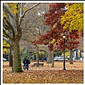 Picture Title - Autumn