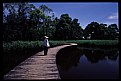 Picture Title - Crossing the bridge