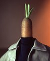 Picture Title - Mr.Carrotto