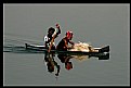 Picture Title - Fishy Mission...!!!