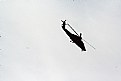 Picture Title - Lonley helicopter