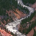 Picture Title - Mighty Yellowstone River