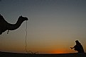 Picture Title - Camel with driver