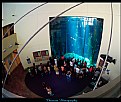 Picture Title - Aquarium of the Pacific