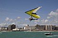 Picture Title - Worthing Birdman