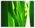 abstract greens