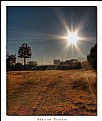 Picture Title - African Prairie